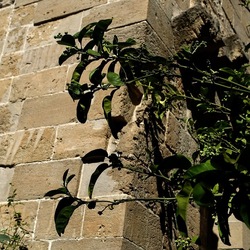 Arabo Normanno. Fotografie di Giulio Azzarello ©2024. Arabo Normanno. Fotografie di Giulio Azzarello ©2024.