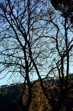 GOLE DELL ALCANTARA in Sicilia. Fotografie di Giulio Azzarello &copy;2016.