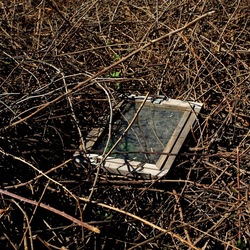 RAMI E ROVI. Fotografie di Giulio Azzarello ©2023. RAMI E ROVI. Fotografie di Giulio Azzarello ©2023.