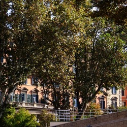 ROMA fotografie di Giulio Azzarello &copy;2022.