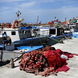 SELINUNTE. Fotografie di Giulio Azzarello &copy;2022.