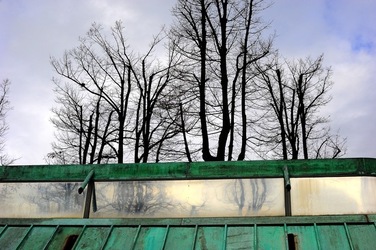 BIENNALE di VENEZIA 2017 i giardini. Fotografie di Giulio Azzarello ©2018. BIENNALE di VENEZIA 2017 i giardini. Fotografie di Giulio Azzarello ©2018.