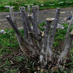 TRONCHI. Fotografie di Giulio Azzarello ©2022.