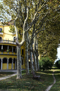 GIARDINI della BIENNALE a Venezia. Foto di Giulio Azzarello &copy;2015 2016.