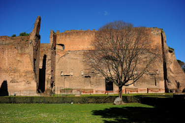 LE TERME DI CARACALLA a Roma visioni panoramiche o particolari. Fotografie di Giulio Azzarello &copy;2014.