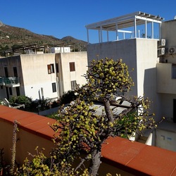BONSAI. Fotografie di Giulio Azzarello &copy;2022.