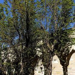 Arabo Normanno. Fotografie di Giulio Azzarello ©2024. Arabo Normanno. Fotografie di Giulio Azzarello ©2024.