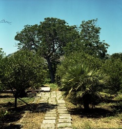 FOTO QUADRATE 6X6. Fotografie di Giulio Azzarello ©2021. FOTO QUADRATE 6X6. Fotografie di Giulio Azzarello ©2021.