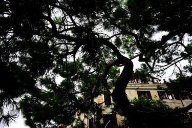 BIENNALE ARTI CONTEMPORANEE DI VENEZIA fotografie di Giulio Azzarello ©2020.