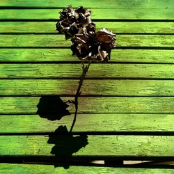 METALLICO. Fotografia di Giulio Azzarello &copy;2023.