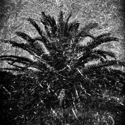 ARCHEO fotografie di Giulio Azzarello ©2021. ARCHEO fotografie di Giulio Azzarello ©2021.