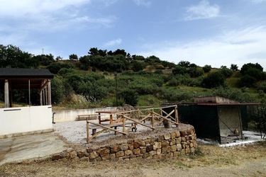 ULIVETO SICILIANO. Fotografie di Giulio Azzarello ©2022.