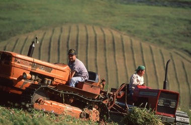 SICILIA diapositive. Fotografie di Giulio Azzarello &copy;1996 2021.