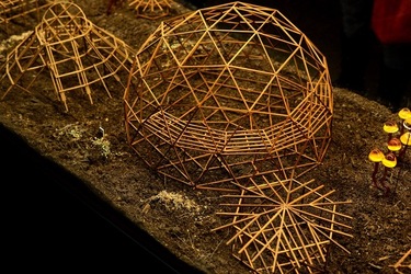 VENEZIA Biennale di Architettura Contemporanea Arsenale. Fotografie di Giulio Azzarello ©2022. VENEZIA Biennale di Architettura Contemporanea Arsenale. Fotografie di Giulio Azzarello ©2022.