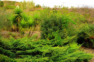 CAMPAGNA SICILIANA. Fotografie di Giulio Azzarello &copy;2016.