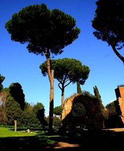 PARCO ARCHEOLOGICO DEL PALATINO Roma. Fotografie di Giulio Azzarello ©2020.