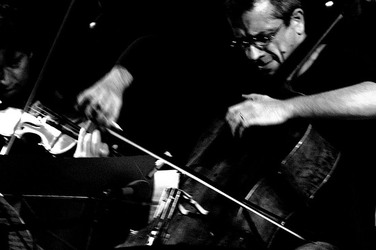 GIOVANNI SOLLIMA in concerto. Fotografie di Giulio Azzarello &copy;2014.