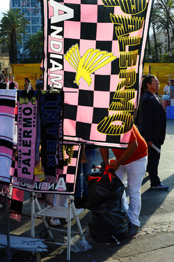 I TIFOSI DEL PALERMO CALCIO in piazza per festeggiare. Fotografie di Giulio Azzarello ©2014. I TIFOSI DEL PALERMO CALCIO in piazza per festeggiare. Fotografie di Giulio Azzarello ©2014.