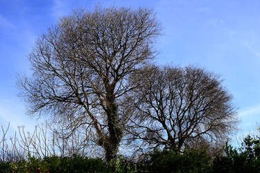 CAMPAGNA fotografie di Giulio Azzarello ©2020.