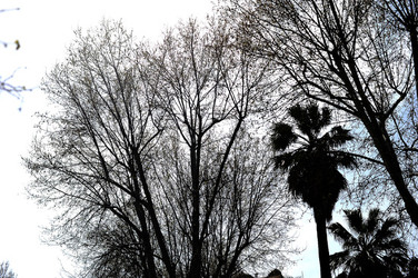 VILLA BONANNO a Palermo. Fotografie di Giulio Azzarello &copy;2016.