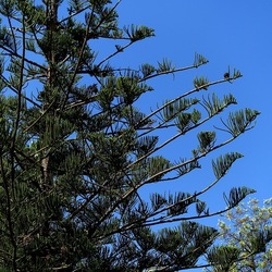 GIARDINO. Fotografie di Giulio Azzarello ©2022.