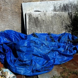 OSSERVAZIONI. Fotografie di Giulio Azzarello ©2022. OSSERVAZIONI. Fotografie di Giulio Azzarello ©2022.