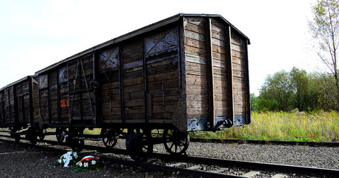 AUSCHIWITZ BIRKENAU il luogo della storia il campo. Fotografie di Giulio Azzarello &copy;2016.