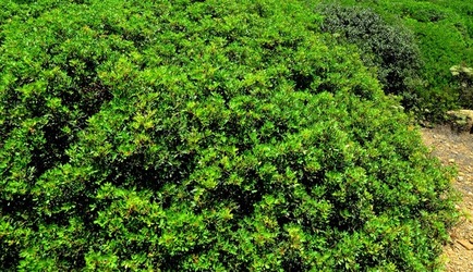 SELINUNTE sito archeologico. Fotografie di Giulio Azzarello ©2018. SELINUNTE sito archeologico. Fotografie di Giulio Azzarello ©2018.