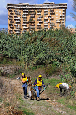LA BONIFICA delle coste a Palermo una azione simbolica di Lega Ambiente Sicilia. Fotografie di Giulio Azzarello &copy;2014.