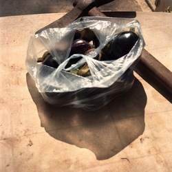 STILL LIFE ASSURDI fotografie di Giulio Azzarello ©2021. STILL LIFE ASSURDI fotografie di Giulio Azzarello ©2021.