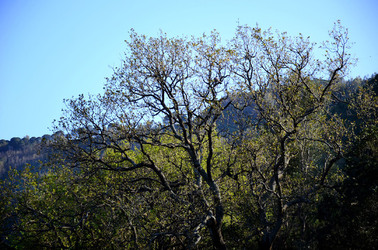 GOLE DELL ALCANTARA in Sicilia. Fotografie di Giulio Azzarello &copy;2016.