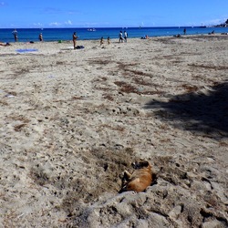 MONDELLO fotografie di Giulio Azzarello ©2021. MONDELLO fotografie di Giulio Azzarello ©2021.