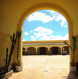 TENUTA vitivinicola in Sicilia. Fotografie di Giulio Azzarello ©2016. TENUTA vitivinicola in Sicilia. Fotografie di Giulio Azzarello ©2016.