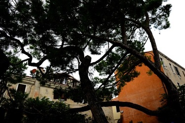 BIENNALE ARTI CONTEMPORANEE DI VENEZIA fotografie di Giulio Azzarello ©2020.