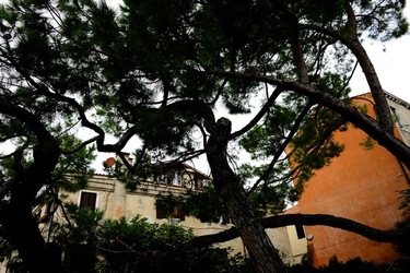 BIENNALE ARTI CONTEMPORANEE DI VENEZIA fotografie di Giulio Azzarello ©2020.