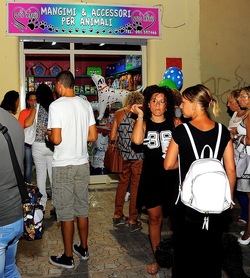 NEGOZIO di ANIMALI. Fotografie di Giulio Azzarello ©2018. NEGOZIO di ANIMALI. Fotografie di Giulio Azzarello ©2018.