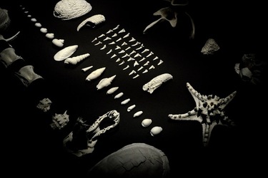 PADIGLIONE AFRICANO Biennale di Venezia. Fotografie di Giulio Azzarello &copy;2020.