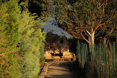 LUIGI PIRANDELLO il parco e la casa museo. Fotografie di Giulio Azzarello ©2014.