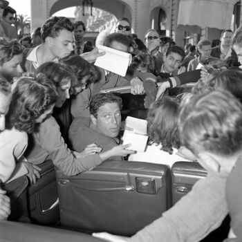 Cannes Film Festival 1951 1955 
