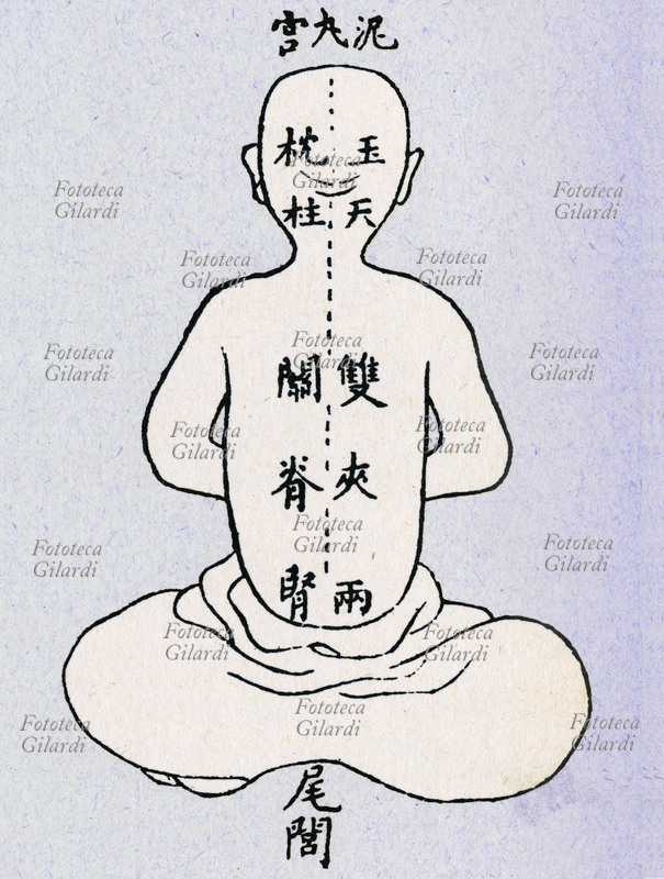CINA MEDICINA Mappa dorsale del corpo con segnati i punti di riferimento anatomici per esercizi Nei-Kong. Ginnastica e massaggi stimolano i punti indicati e favoriscono un passaggio benefico dell\