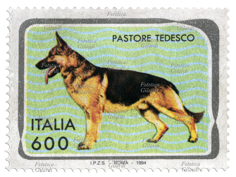 FRANCOBOLLO della serie "Animali domestici - cani" emessa dalle Poste italiane: cane da pastore tedesco. Valore nominale 600 lire, fotoincisione I.P.S.Z. Roma. Italia, emissione 12 marzo 1994