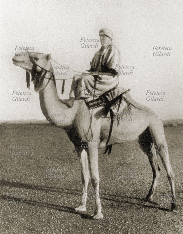 AMEDEO di Savoia duca d\