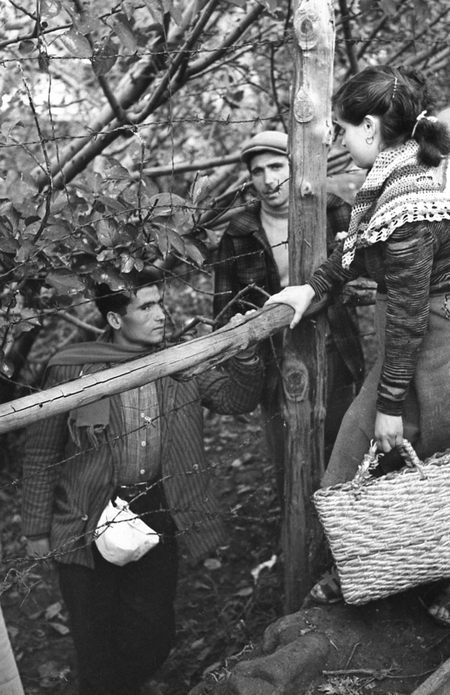 SOSTEGNO ALLA LOTTA SOSTEGNO ALLA LOTTA
