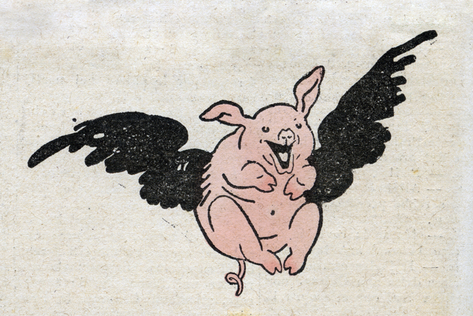 FUNNY FLYING PIG