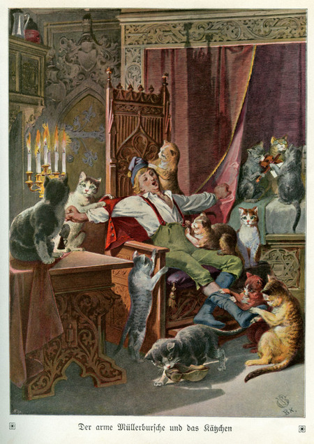 IL POVERO GARZONE E LA GATTINA IL POVERO GARZONE E LA GATTINA