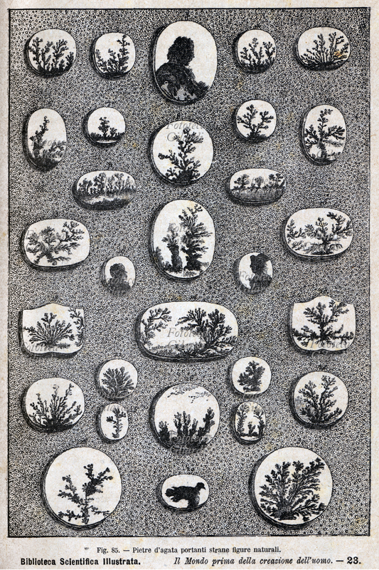 PREISTORIA Fig. 85 Pietre d\