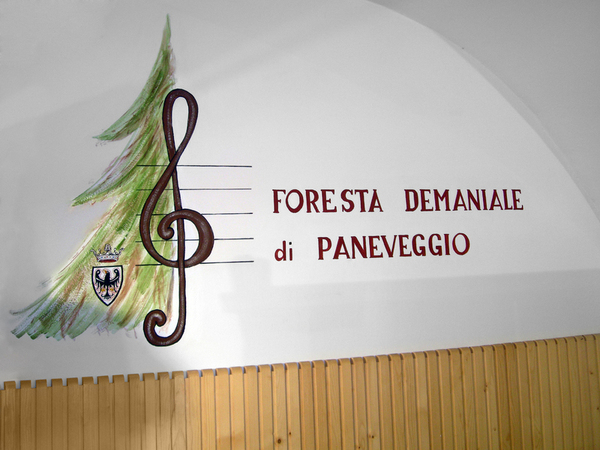 FORESTA DEMANIALE DI PANEVEGGIO FORESTA DEMANIALE DI PANEVEGGIO