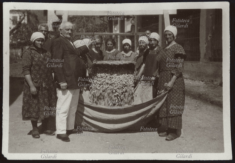MESTIERI Bozzoli di bachi da seta raccolti in grandi lenzuoli per essere lavorati. Lombardia, 1918.