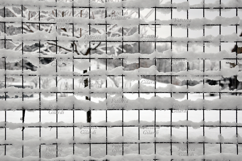 INVERNO sotto la neve - recinzione ai margini del bosco Fotografia di Patrizia Piccini, Ponzone (AL) febbraio 2010