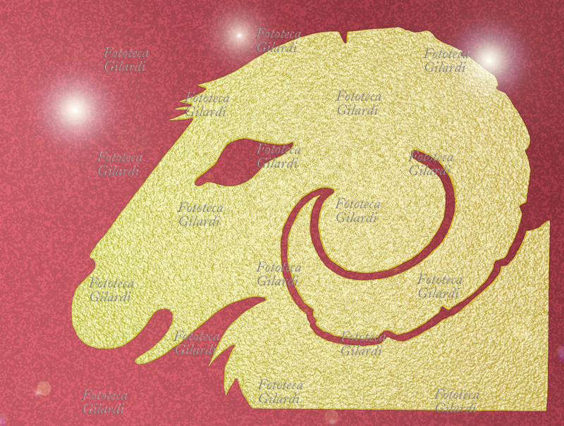 ZODIACO Segno zodiacale dell\
